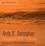 cover: Andy O`donoghue - Sounds Of Nesia (The Remixes)