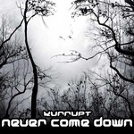 cover: Dj Kurrupt - Never Coming Down