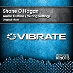 cover: Shane O Hagan - Audio Culture