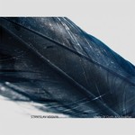 cover: Stanislav Vdovin - Made Of Cloth & Feather