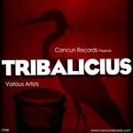 cover: Various - Tribalicius Vol 1