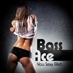 cover: Bass Ace - You Sexy Bitch