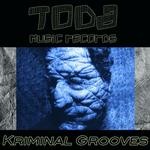 cover: Various - Kriminal Grooves