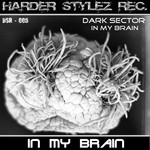 cover: Dark Sector - In My Brain