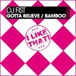 cover: Dj Fist - Gotta Believe