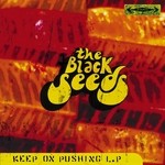 cover: The Black Seeds - Keep On Pushing