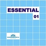 cover: Various - Essential 01