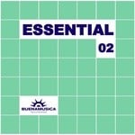 cover: Various - Essential 02