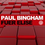 cover: Paul Bingham - Fuer Elise