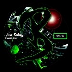 cover: Jim Raley - Embition