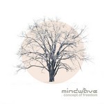 cover: Mindwave - Concept Of Freedom