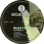 cover: Tboy|Wildkats - Be An Example EP