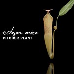 cover: Edgar Ariza - Pitcher Plant