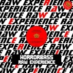 cover: Horrorbass - Raw Experience