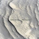 cover: Stefny Winter - Wind Walker