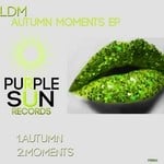 cover: Ldm - Autumn Moments EP