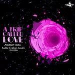 cover: Andrew Soul - A Trip Called Love