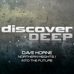 cover: Dave Horne - Northern Heights/Into The Future