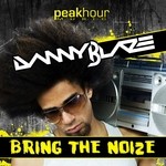 cover: Danny Blaze - Bring The Noize