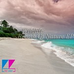 cover: Wildlife - Breath Of Nature EP