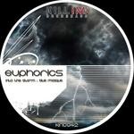 cover: Euphorics - Into The Storm