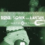 cover: Rebel Sonix - Back It Up