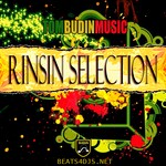 cover: Tom Budin|Tom Budin Feat Rinsin Selection - Rinsin Selection