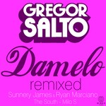 cover: Gregor Salto - Damelo (remixed)