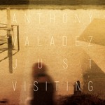 cover: Anthony Valadez - Just Visiting