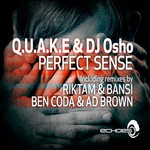 cover: Dj Osho|Quake - Perfect Sense