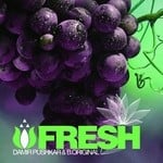 cover: Damir Pushkar|B Original - Fresh