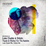 cover: Chable, Luke|Shiloh - Thank Ur Mother For The Rabbits