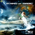 cover: Various - A Kind Of Magic Compiled By Pype