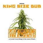 cover: Dub Syndicate - Special King Size Dub