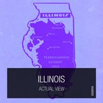 cover: Actual View - Illinois