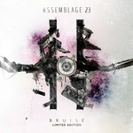 cover: Assemblage 23 - Bruise