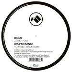 cover: Biome & Kryptic Minds - The Raven