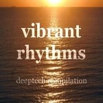 cover: Various - Vibrant Rhythms (Deeptech Housemusic Tunes in E-Key)