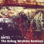 cover: Dntel - The Robag Wruhme (remixes)