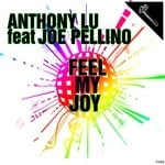 cover: Jo Pellino|Lu, Anthony - Feel My Joy