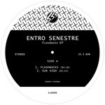 cover: Entro Senestre - Flashbacks EP