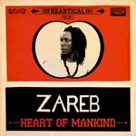 cover: Bdf & Darren Jamtone|Zareb - Heart Of Mankind