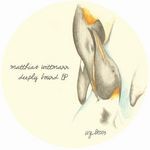 cover: Matthias Wittmann - Deeply Bound EP