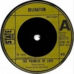 cover: Delegation - The Promise Of Love