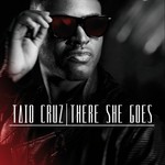 cover: Taio Cruz - There She Goes