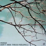 cover: Nuage - Don't Hide These Feelings