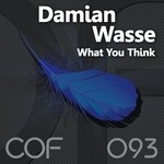 cover: Damian Wasse - What You Think