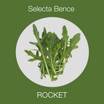 cover: Selecta Bence - Rocket