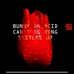 cover: Bunny On Acid - Can't Be Rong