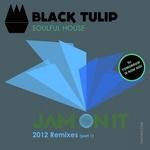 cover: Black Tulip|Wendell Morrison - Jam On It (2012 remixes Part 1)